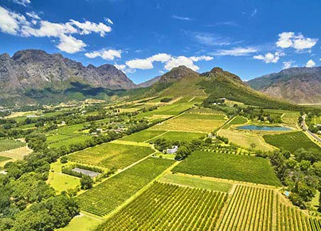 Cape Winelands Tour