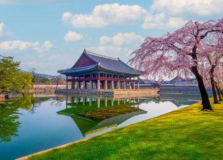 South Korea Discovery