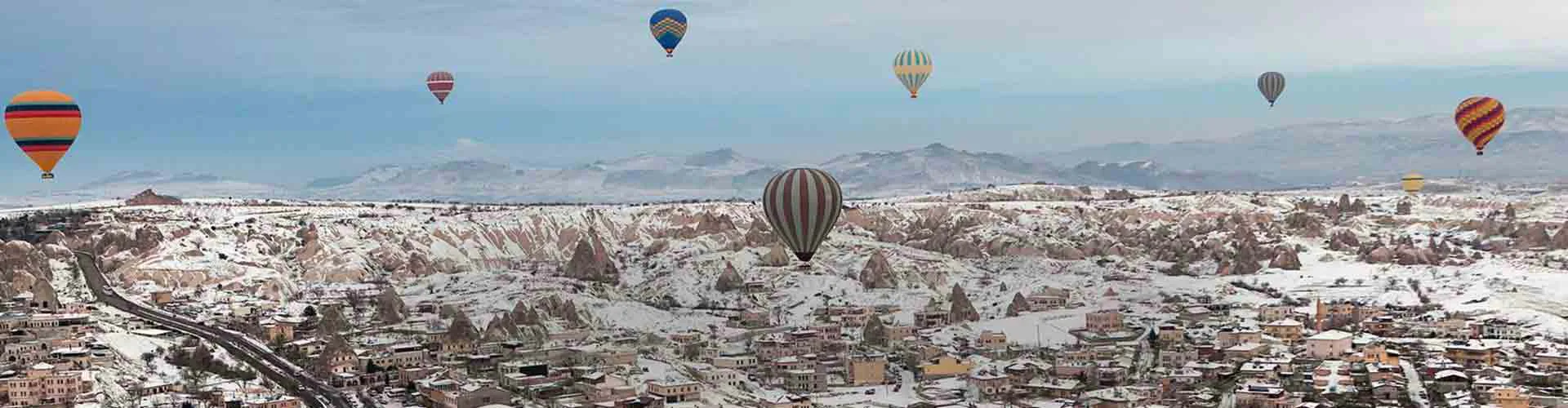 turkey-02-delight